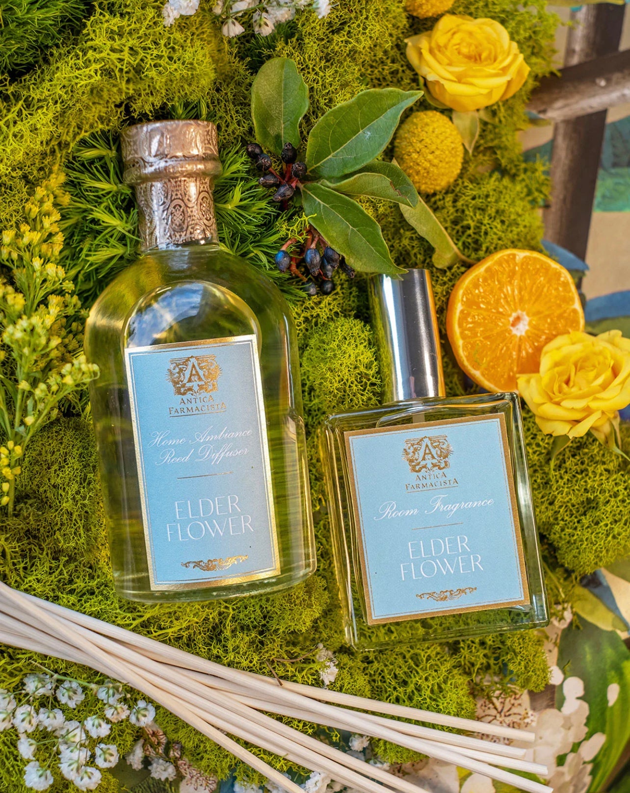 Antica - 250ml Elderflower Reed Diffuser